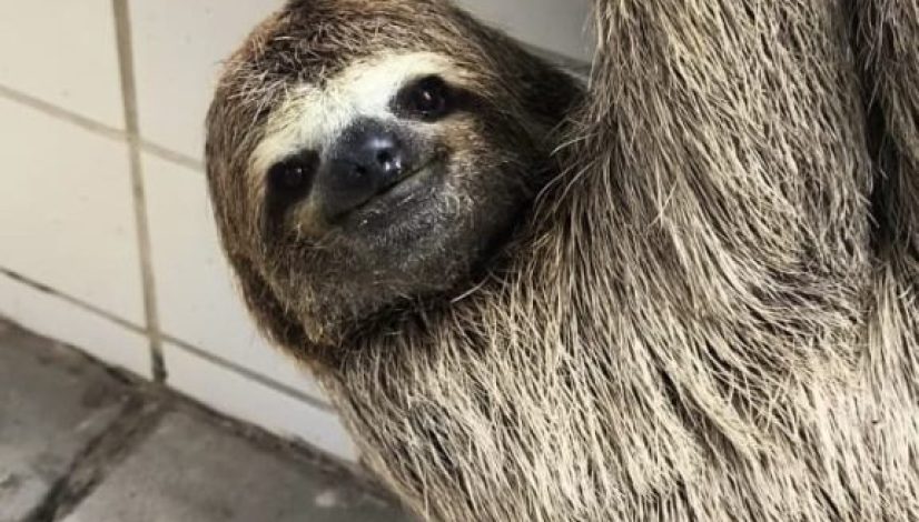 c3cdfe8c-5ade-42ee-adab-7c0c3a63fb97