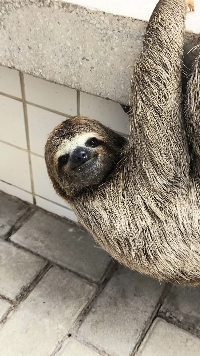 c3cdfe8c-5ade-42ee-adab-7c0c3a63fb97