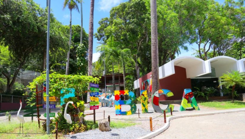 WhatsApp Image 2025-12-19 at 16.27.10