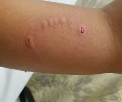 f7807773-47e8-4022-a7d6-ca4d1ae588d3