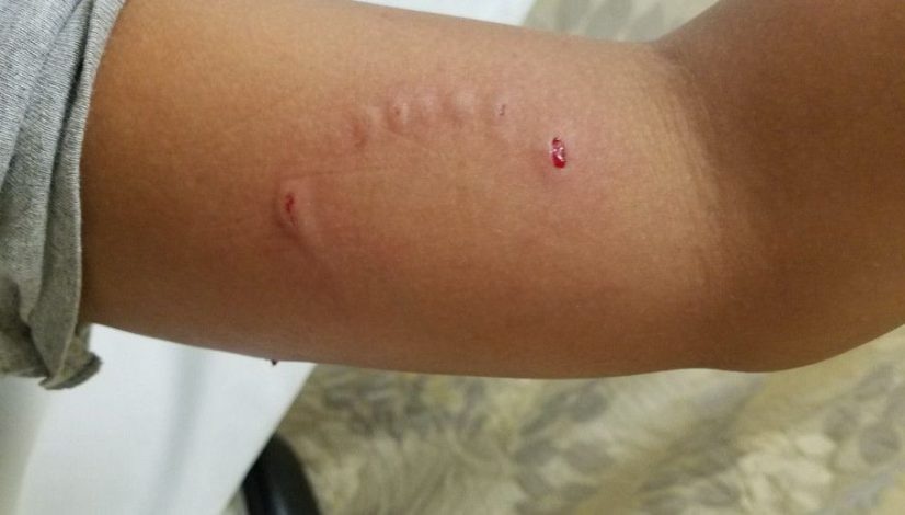 f7807773-47e8-4022-a7d6-ca4d1ae588d3