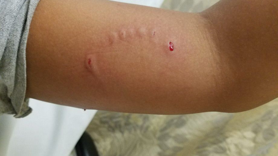 f7807773-47e8-4022-a7d6-ca4d1ae588d3