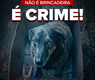 WhatsApp-Image-2026-01-28-at-17.12.58