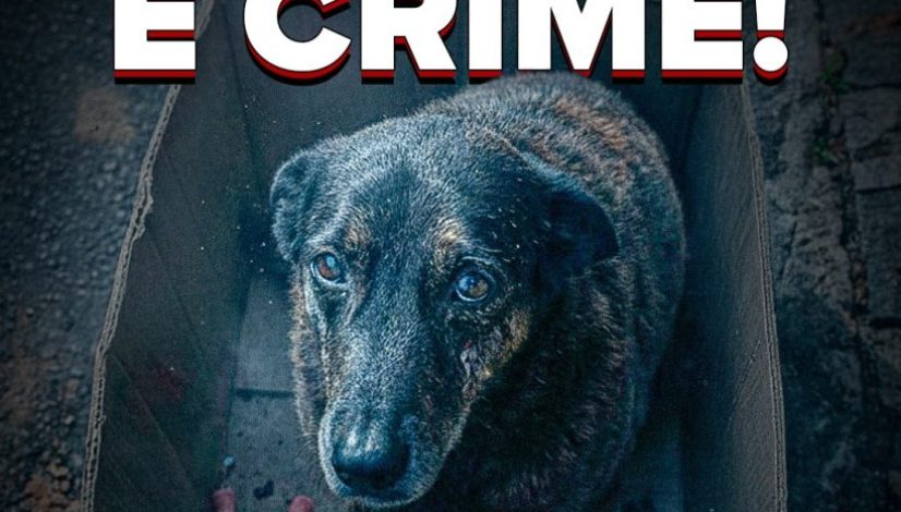 WhatsApp-Image-2026-01-28-at-17.12.58