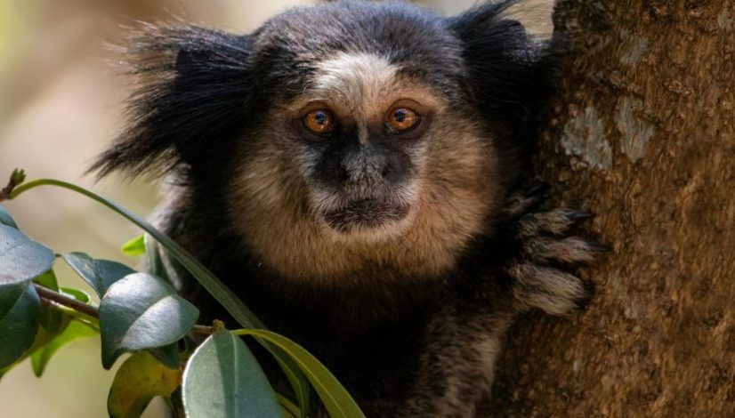 pexels-neilyonamine-9305582