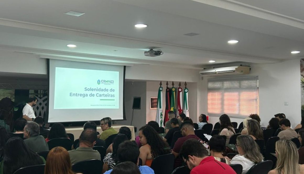 WhatsApp Image 2026-02-11 at 15.23.49