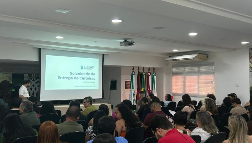 WhatsApp Image 2026-02-11 at 15.23.49