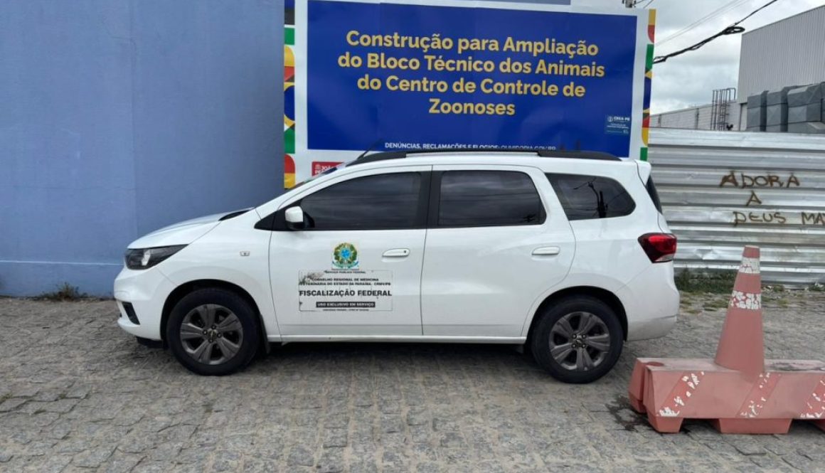 WhatsApp Image 2026-02-13 at 14.48.52