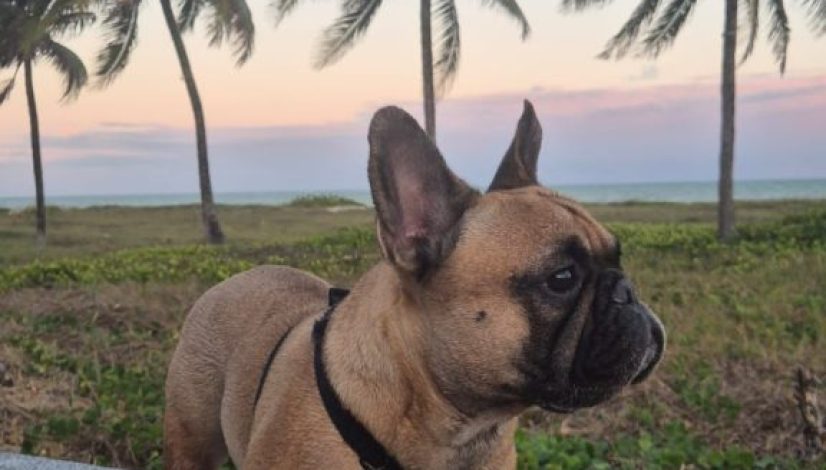 aa700374-db73-4f4a-b17b-f1d4bc09d716 (1)