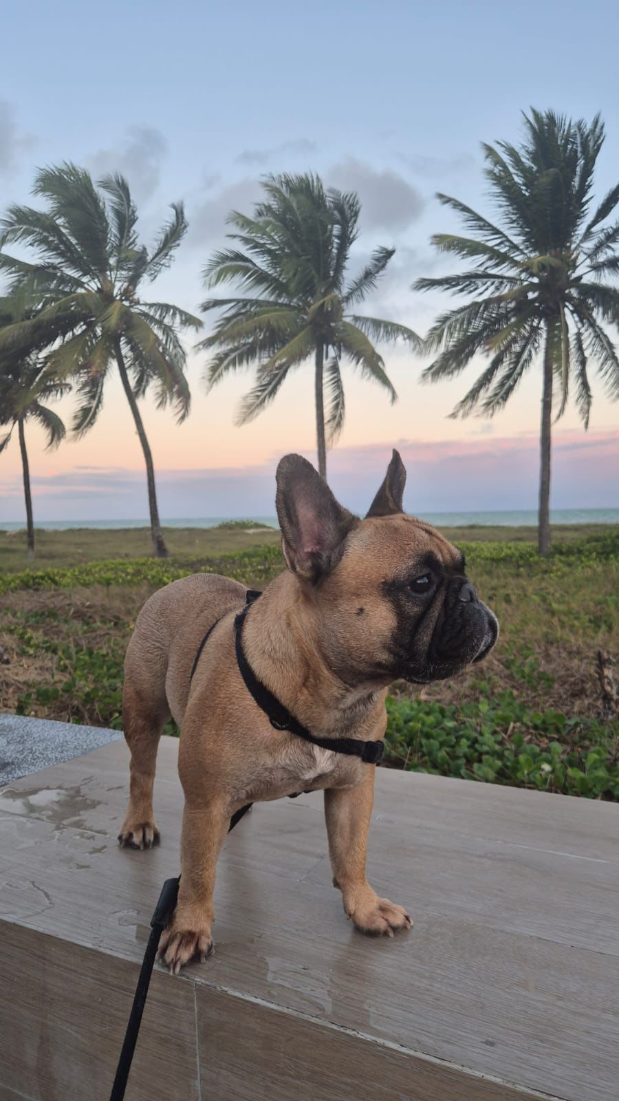 aa700374-db73-4f4a-b17b-f1d4bc09d716 (1)