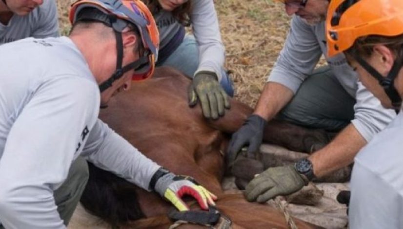 imagem-1024x683-1200x400