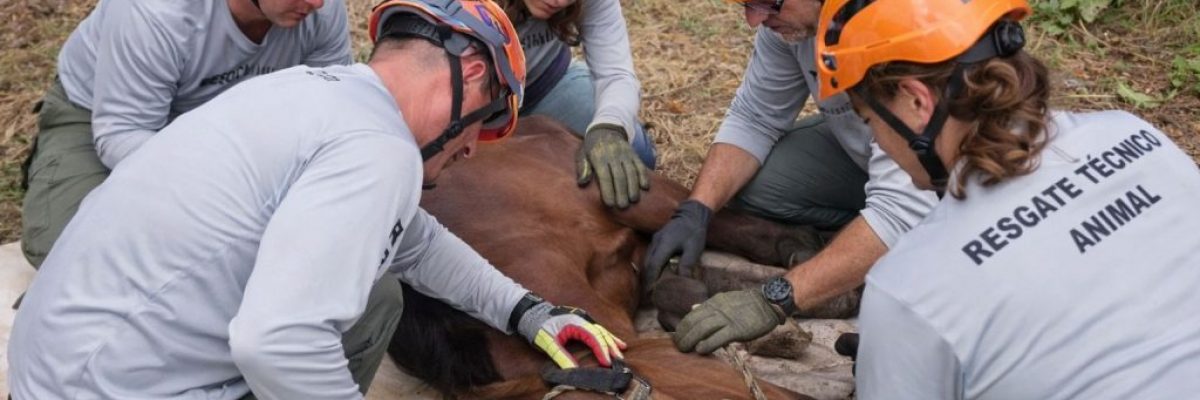 imagem-1024x683-1200x400