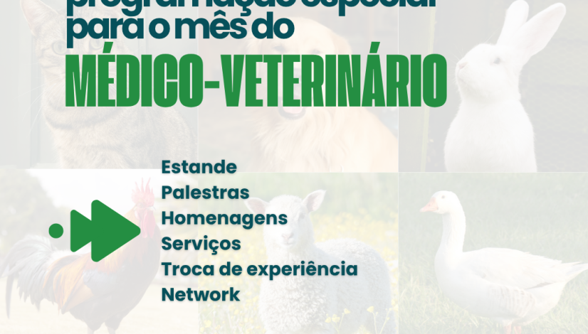 Post para Instagram Carrossel Simples PetShop Veterinário Informativo Adoção Azul e Laranja (2)